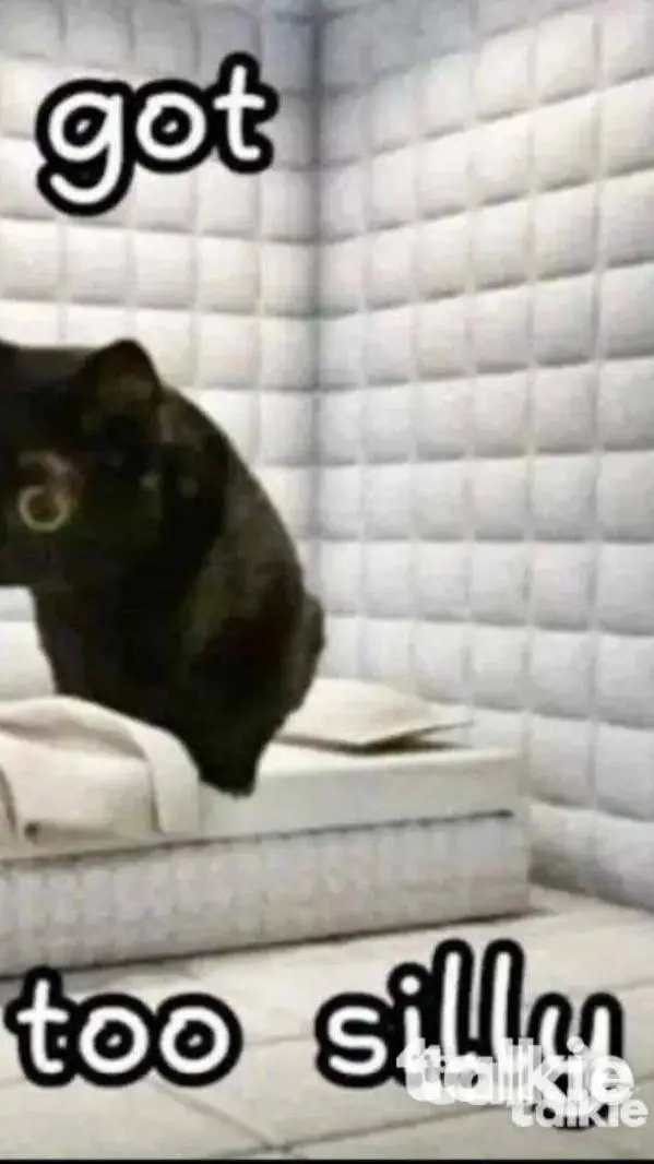 ai character: solitary cat background