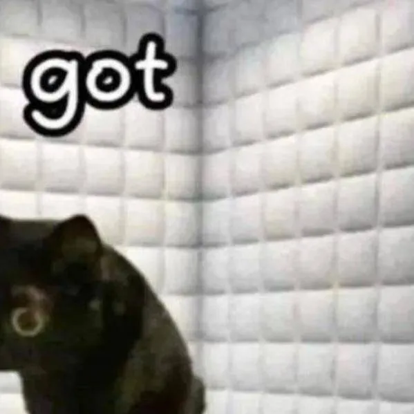 chat with ai character: solitary cat