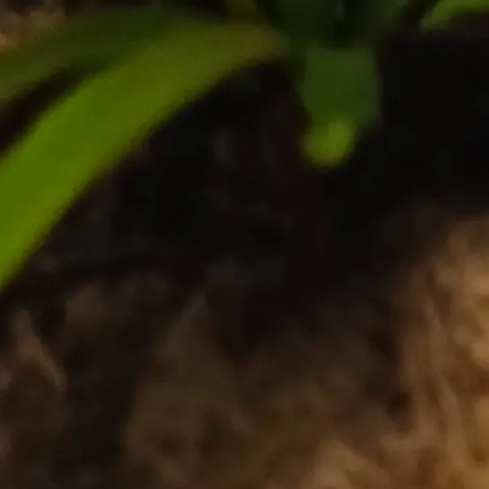 chat with ai character: playground