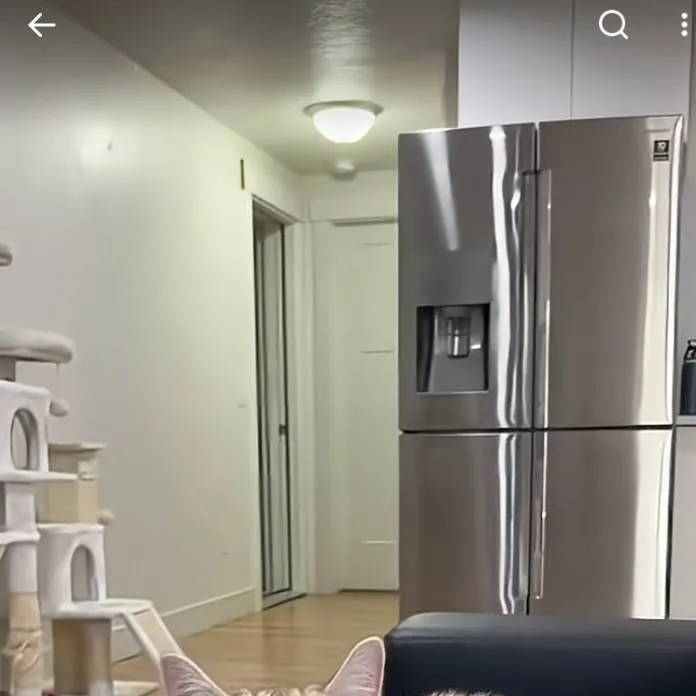 chat with ai character: milo