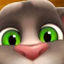 chat with ai character: talking Tom