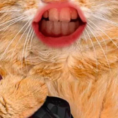 chat with ai character: Cat on the phone￼