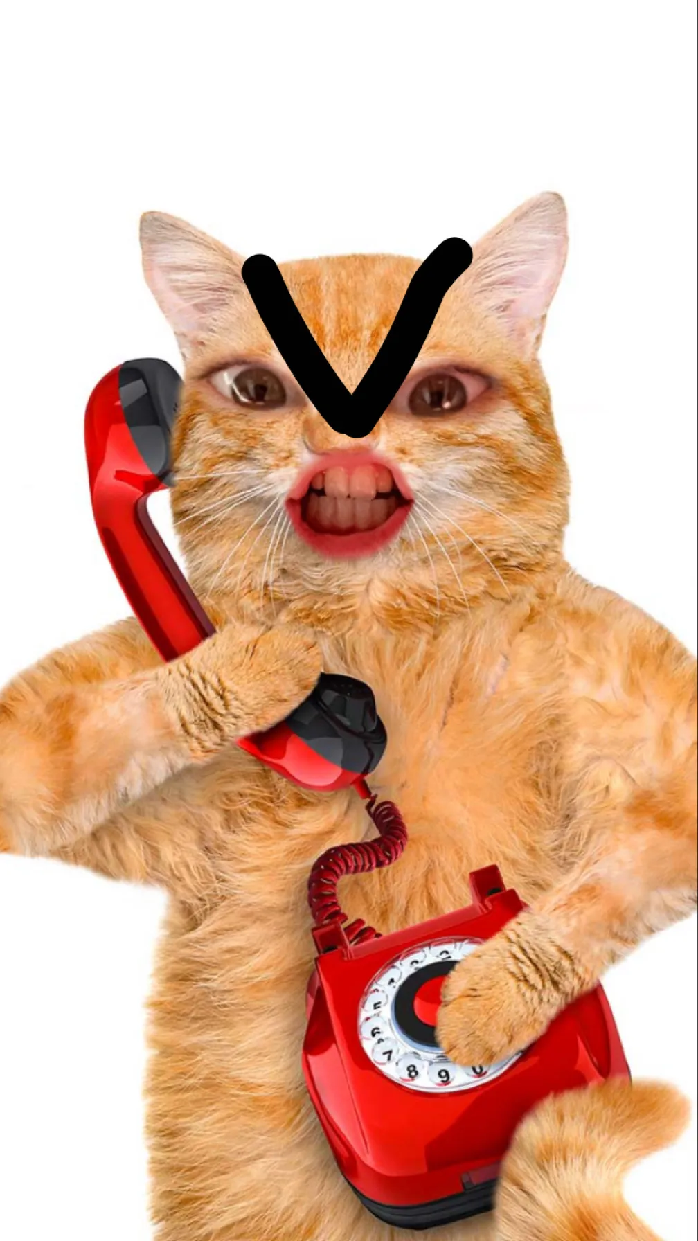 ai character: cat on the phone background