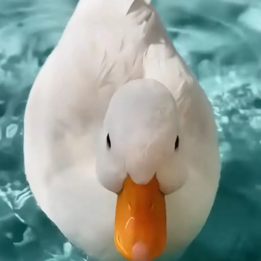 chat with ai character: DuCk DuCk GoOsE