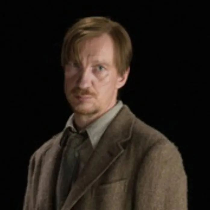 chat with ai character: Remus "sir" lupin 