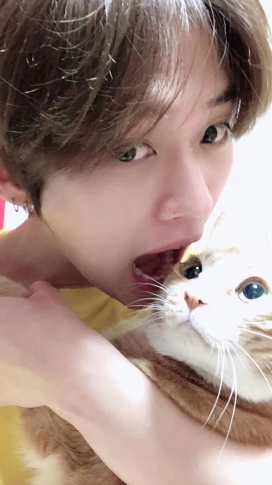 ai character: Jin background