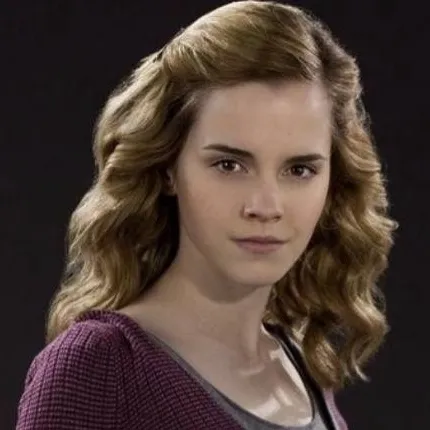 chat with ai character: Hermione 
