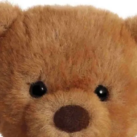 chat with ai character: teddy bear 