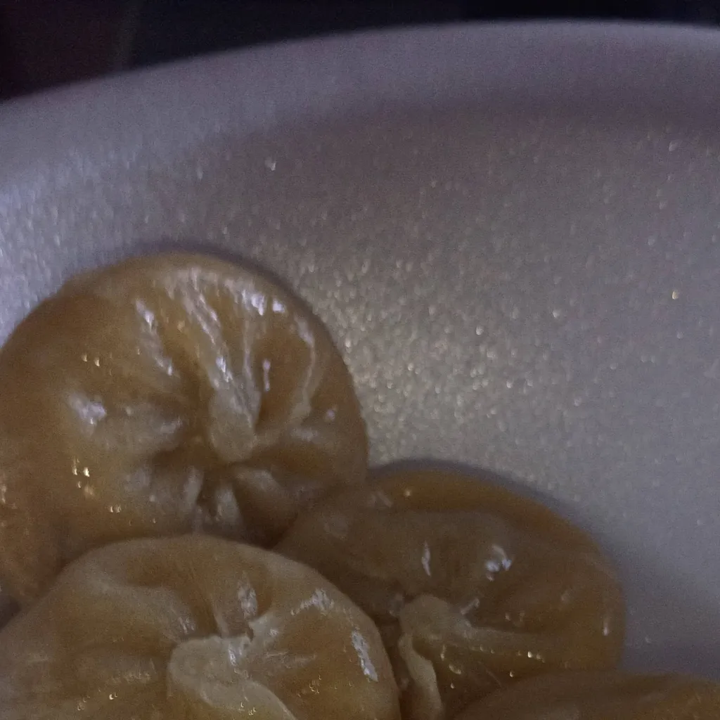 chat with ai character: mini dumplings