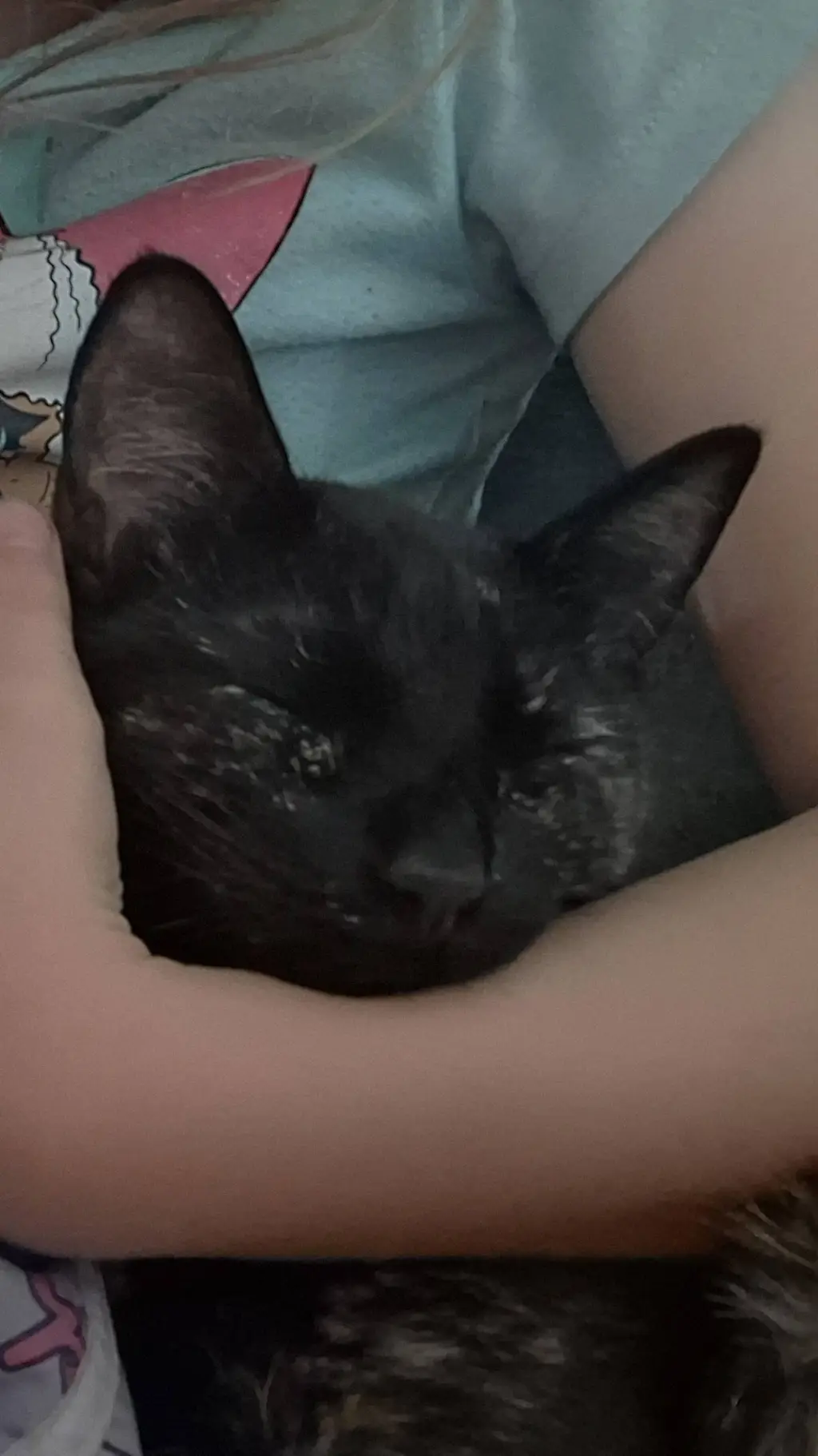 ai character: kitty:3 background