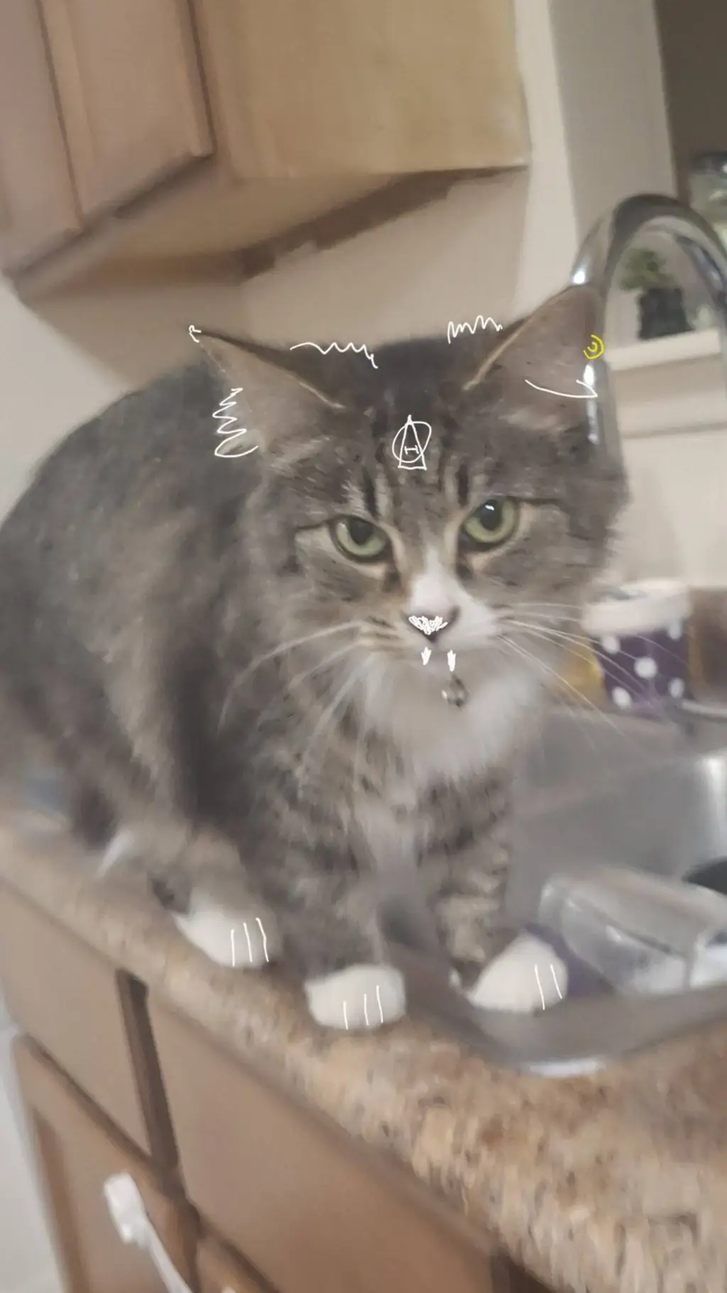 ai character: JELLERBEANNN background