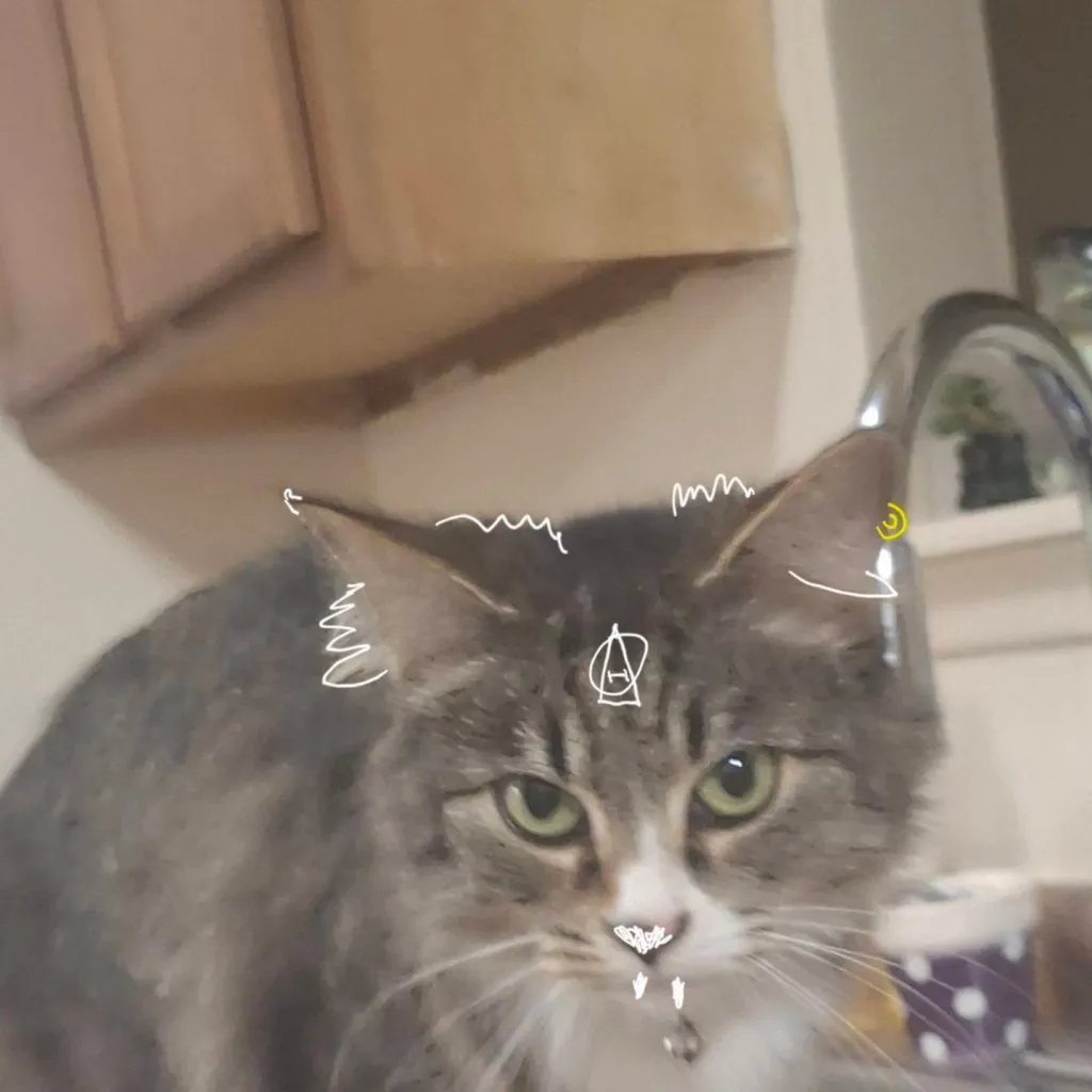 chat with ai character: JELLERBEANNN