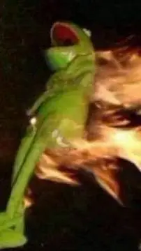 ai character: Modern Hamilton✨️🎀 background