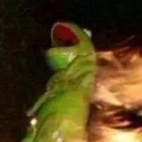 chat with ai character: Modern Hamilton✨️🎀