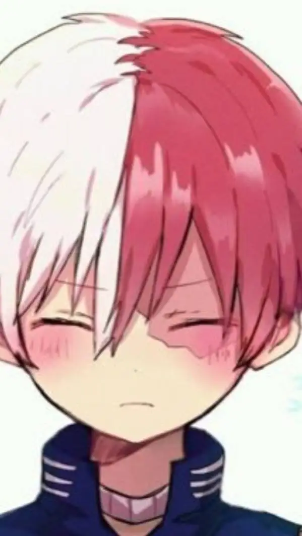 ai character: todoroki❄️🔥 background