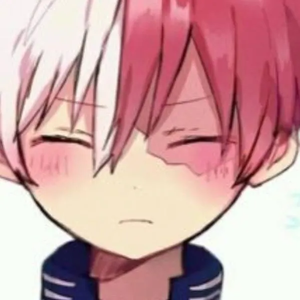chat with ai character: todoroki❄️🔥