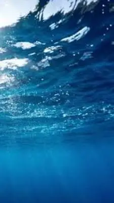 ai character: idk background