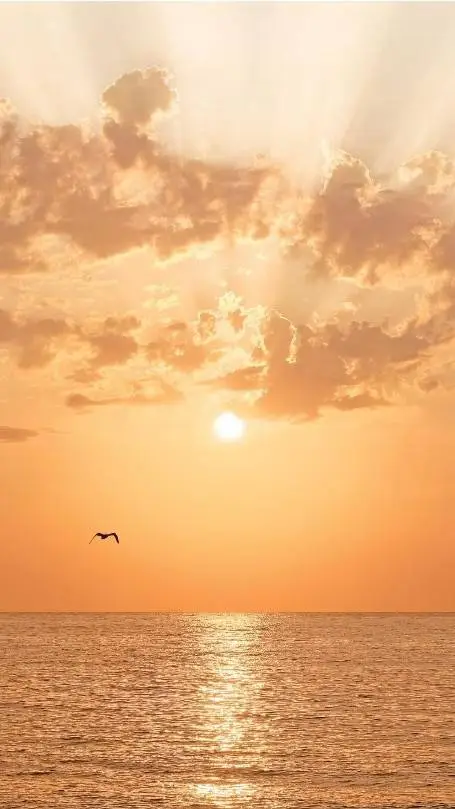 ai character: FORGIVENESS  background