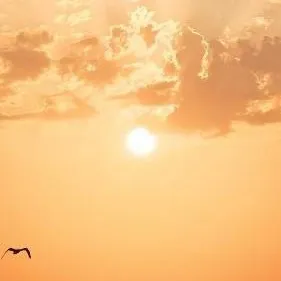 chat with ai character: FORGIVENESS 