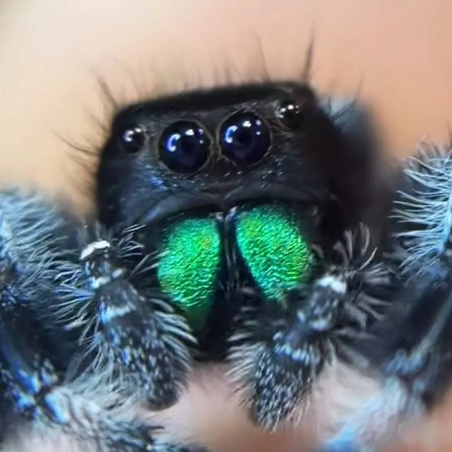 chat with ai character: C.AI sucks