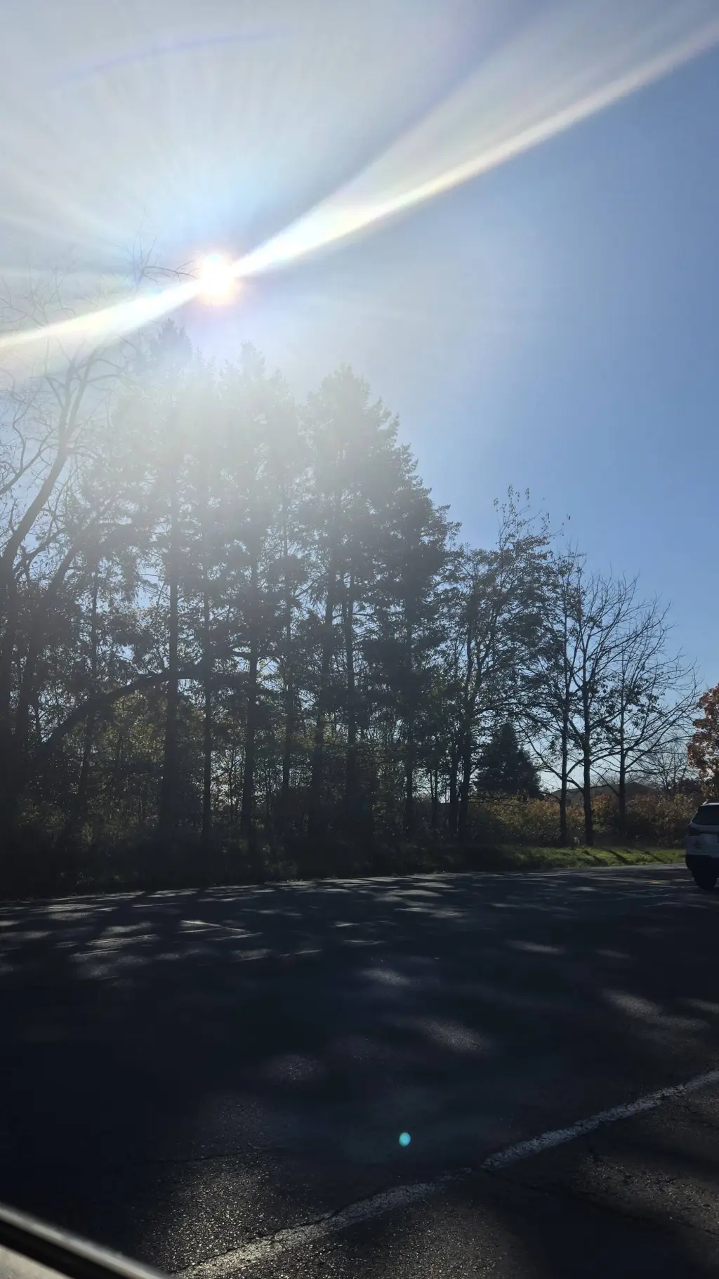 ai character: IJ christmas background