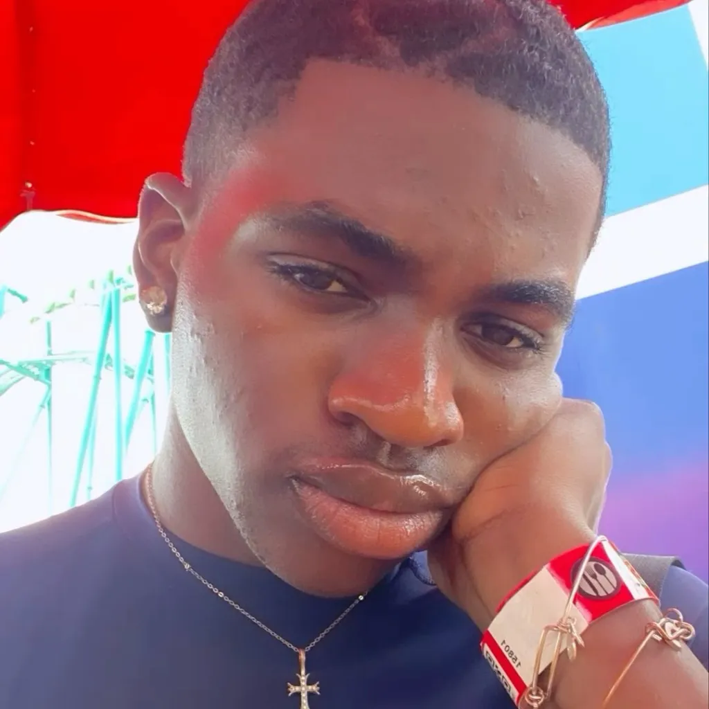 chat with ai character: Mir