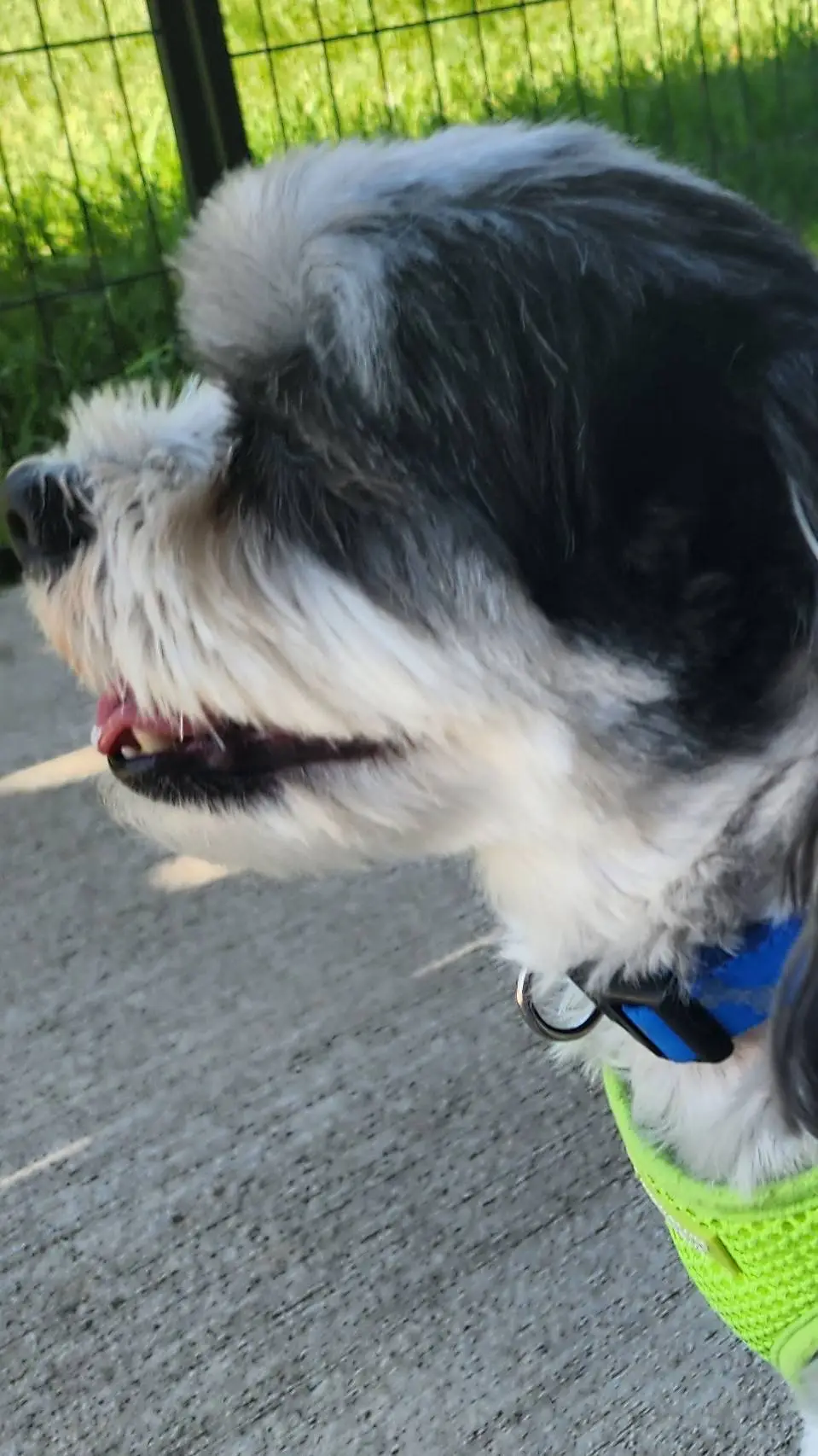 ai character: hh  background