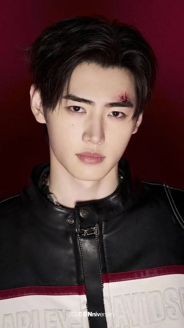 ai character: Sunghoon background