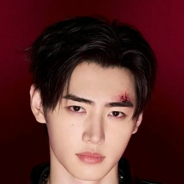 chat with ai character: Sunghoon