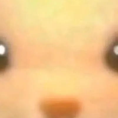 chat with ai character: Tiny teddy bear