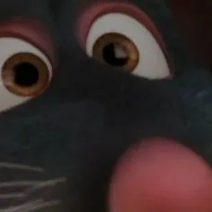 chat with ai character: 𝒓𝒂𝒕𝒂𝒕𝒐𝒖𝒍𝒊𝒆