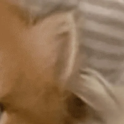 chat with ai character: two kitties :)