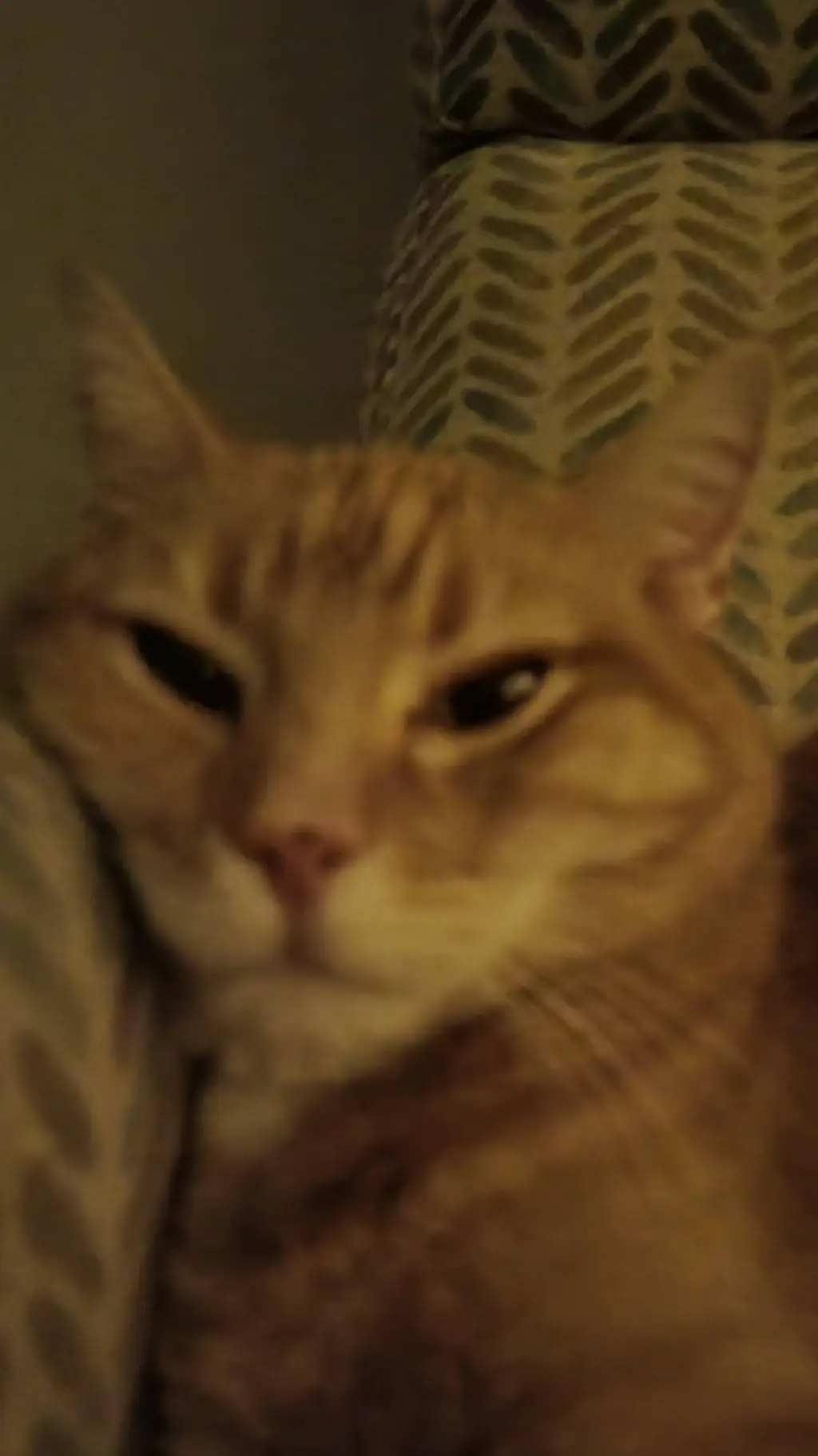 ai character: vrchat furry world background