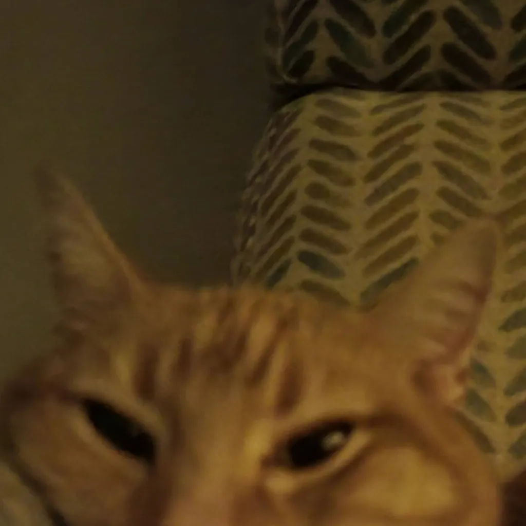 chat with ai character: vrchat furry world