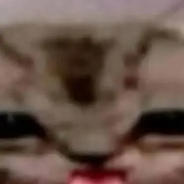 chat with ai character: fallout 4