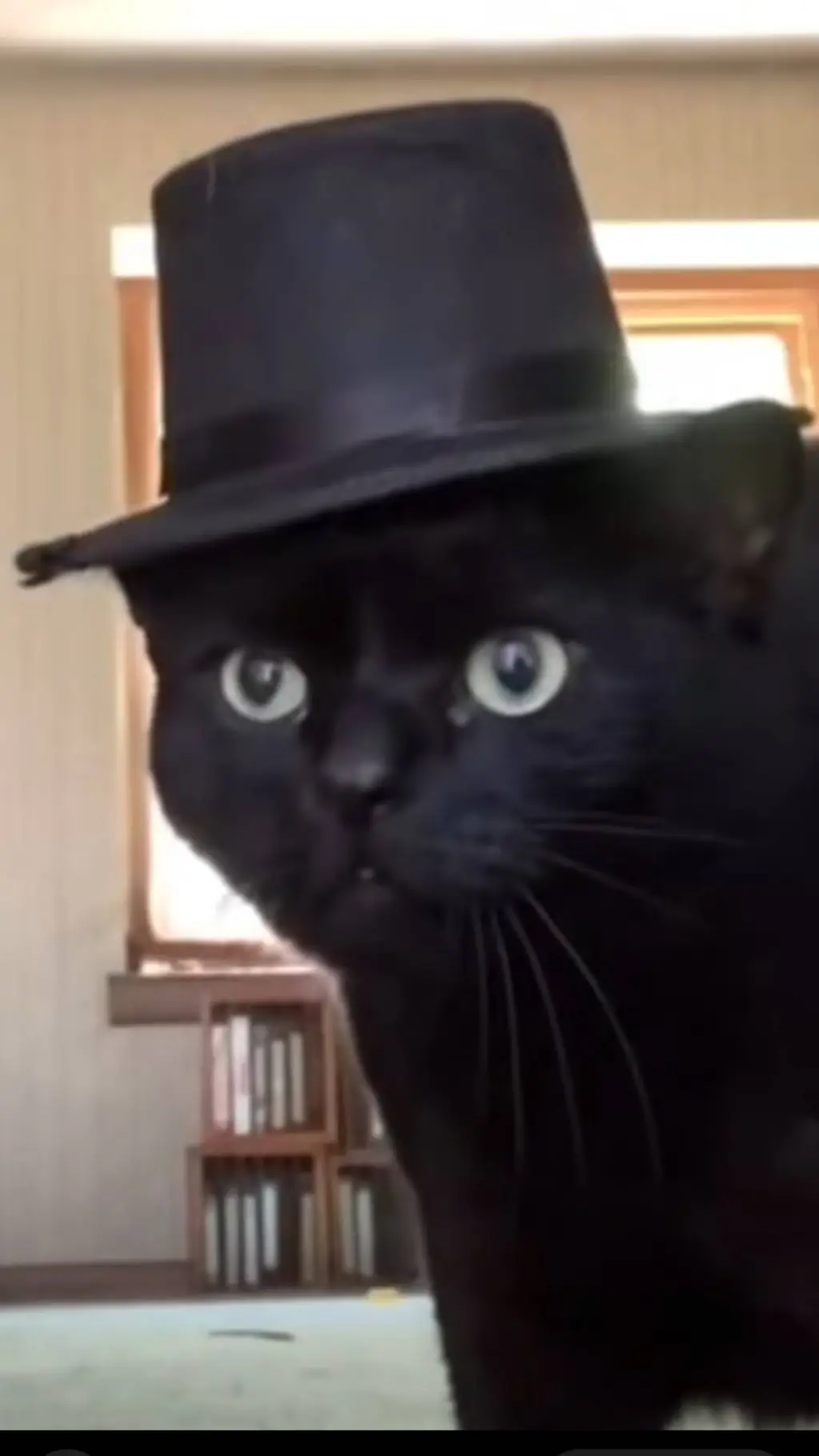 ai character: vrchat furry background