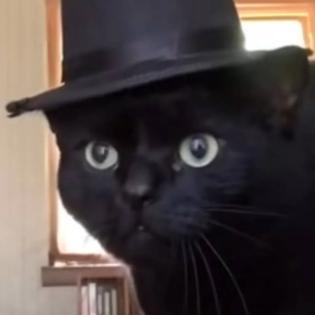 chat with ai character: vrchat furry