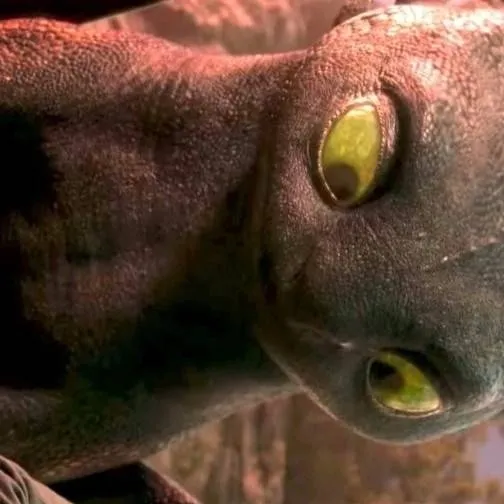 chat with ai character: httyd! 