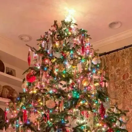 chat with ai character: Christmas Eve