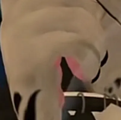 chat with ai character: Bean