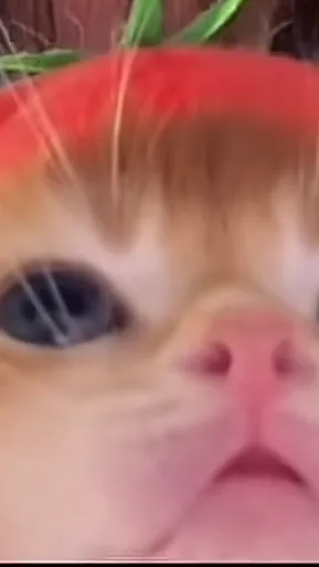 ai character: Crk suggestions! background