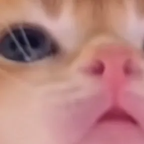 chat with ai character: Crk suggestions!