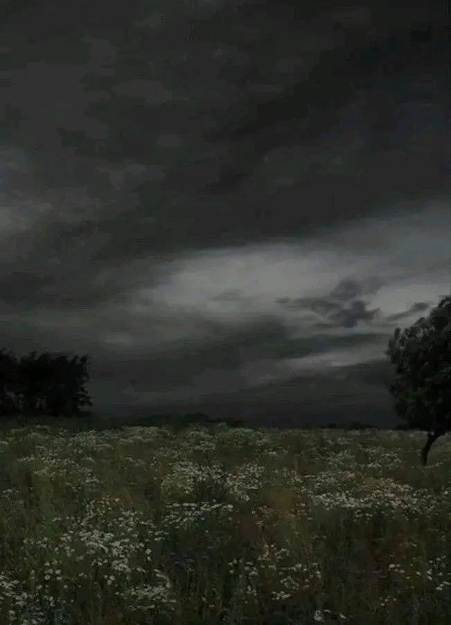 chat with ai character: Crk x whatever