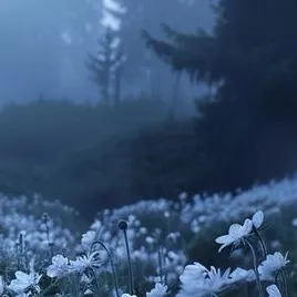 chat with ai character: Crk x DIMT