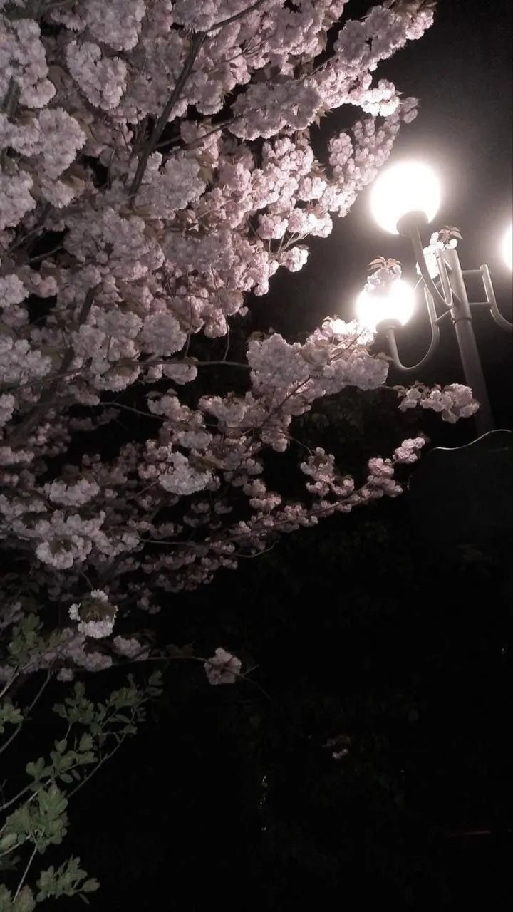 ai character: Crk x brd background