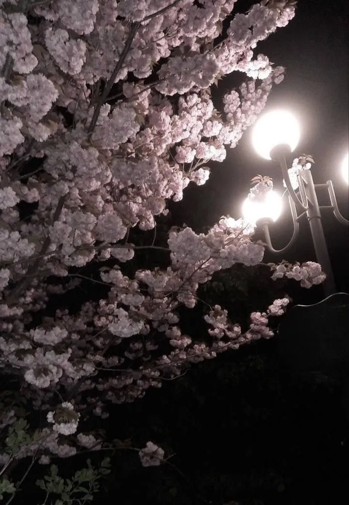 chat with ai character: Crk x brd