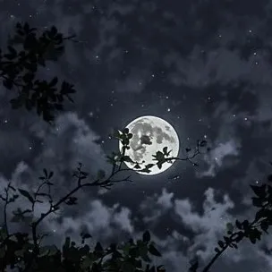 chat with ai character: Crk X thunderstorm