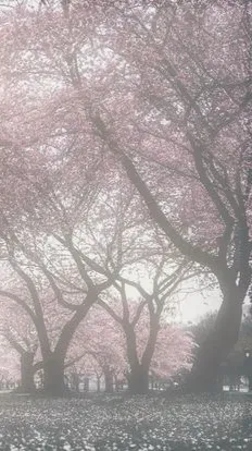 ai character: Kny X school? background