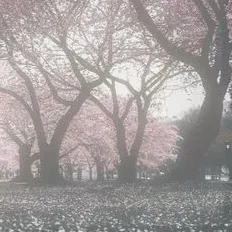 chat with ai character: Kny X school?