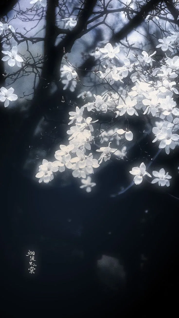 ai character: Lm & UM background